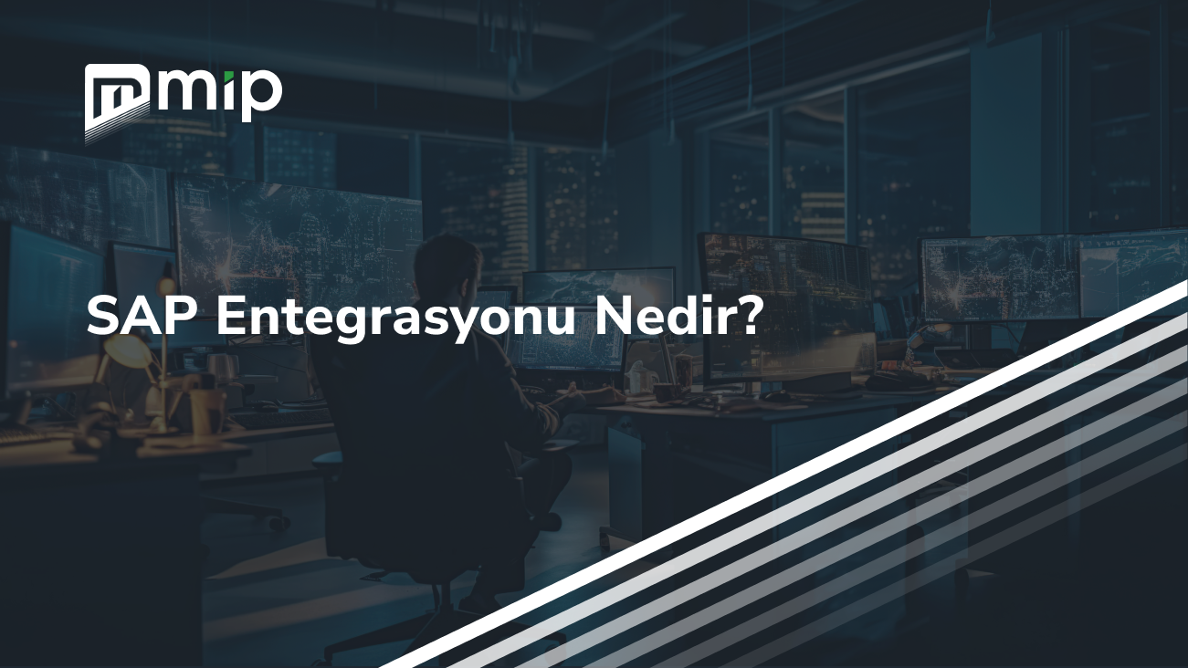 SAP Entegrasyonu Nedir_