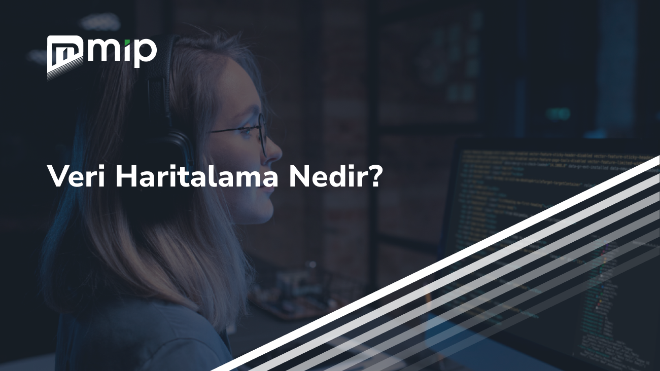 Veri Haritalama Nedir_